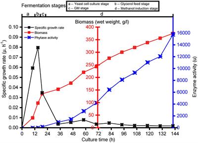Transcriptomic Analysis of <mark class="highlighted">Pichia pastoris</mark> (Komagataella phaffii) GS115 During Heterologous Protein Production Using a High-Cell-Density Fed-Batch Cultivation Strategy